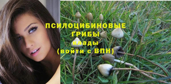 крисы Верхний Тагил