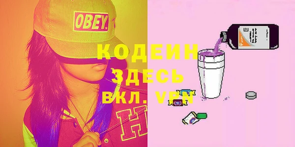 крисы Верхний Тагил