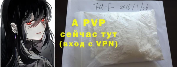 крисы Верхний Тагил