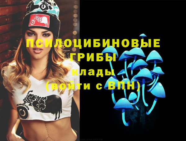 прущая мука Волоколамск