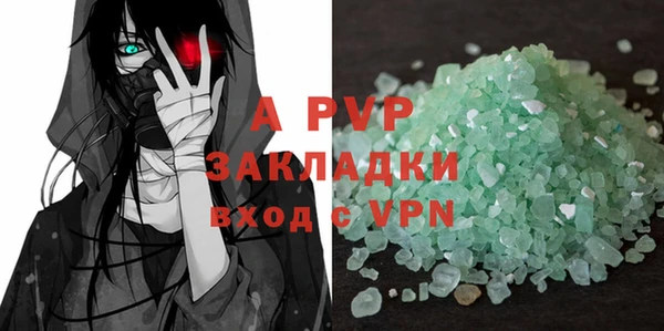 крисы Верхний Тагил